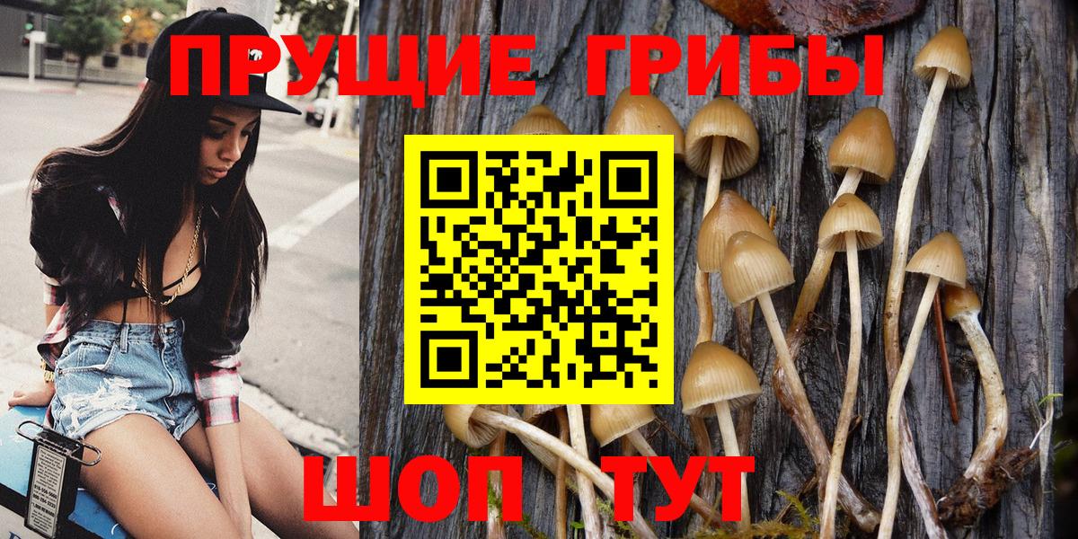 Алейск  Галлюциногенные грибы Magic Shrooms  Галлюциногенные грибы GOLDEN TEACHER  Вход с VPN 